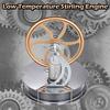 Low Temperature Stirling Engine Motor Steam Heat Education Model Toy DIY