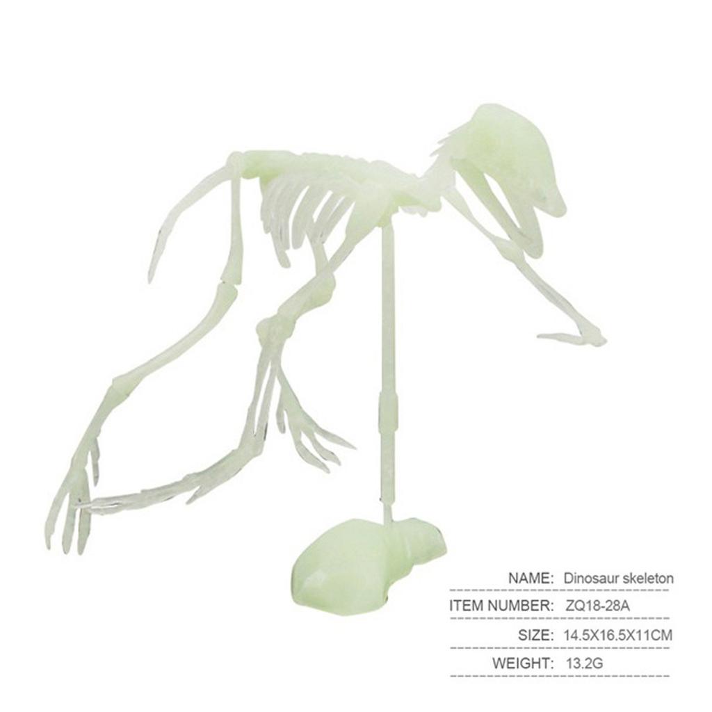 Sagit Имитация костей динозавров Игрушка Светящаяся модель скелета человека Игрушка на Хэллоуин