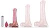 Atlas S Ejaculating Horse Dildo 18 X 4.5cm - Bad Horse - Ejaculating Dildos