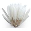 Indian Feathers - White - 10g Bag - Approximately 40 Feathers - Length 15 Cm