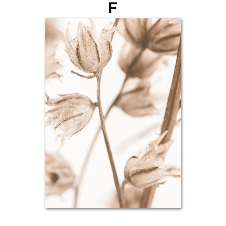 Бежевый Растение Трава Листья Одуванчик Камыши Постеры и Принты Холст Живопись Скандинавское Настенное Искусство Картины для Гостиной Домашний Декор