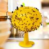 Indoor Fruit Fly Trap - Small Insect Killer & Gnat Sticky Ball for Kitchen