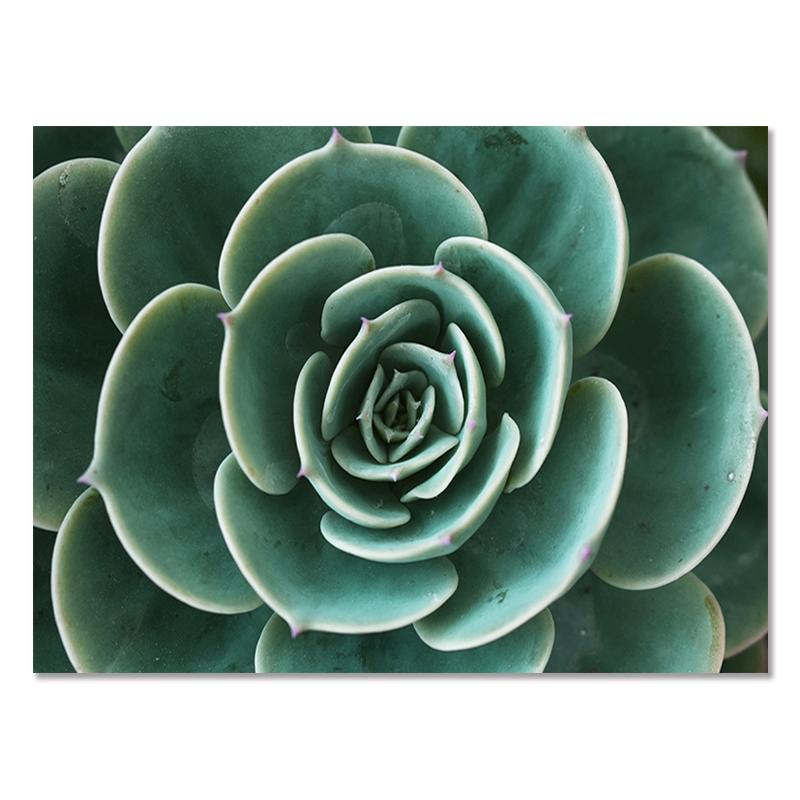 Абстрактное зеленое растение, природа, холст, живопись, скандинавское настенное искусство, листья, постеры, принты, цитаты, картинки для гостиной, домашний декор