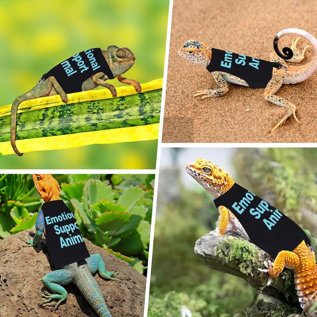 Bearded Dragon Harness and Leash Set Adjustable Reptile Lizard Leash Rope Vest Clothes Starter Kit Accessories for Small Animal Outdoor Walking