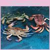 Marine Life Crab Replica For Kids Learning Aquarium Decoration Pvc Collectible