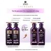 Ryo Purple Line Oil Control Hair Care Set