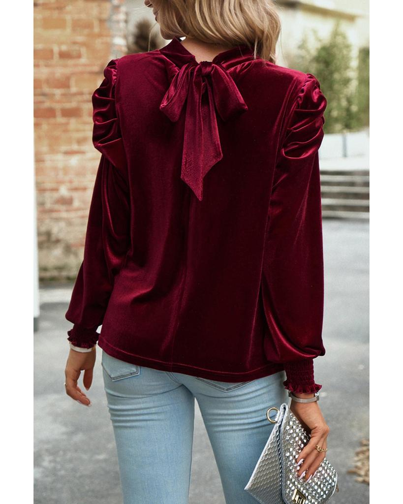Azura Exchange Red Mock Neck Puff Sleeve Velvet Blouse