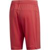 adidas Спортивные шорты мужские Красный/Черный FL4596