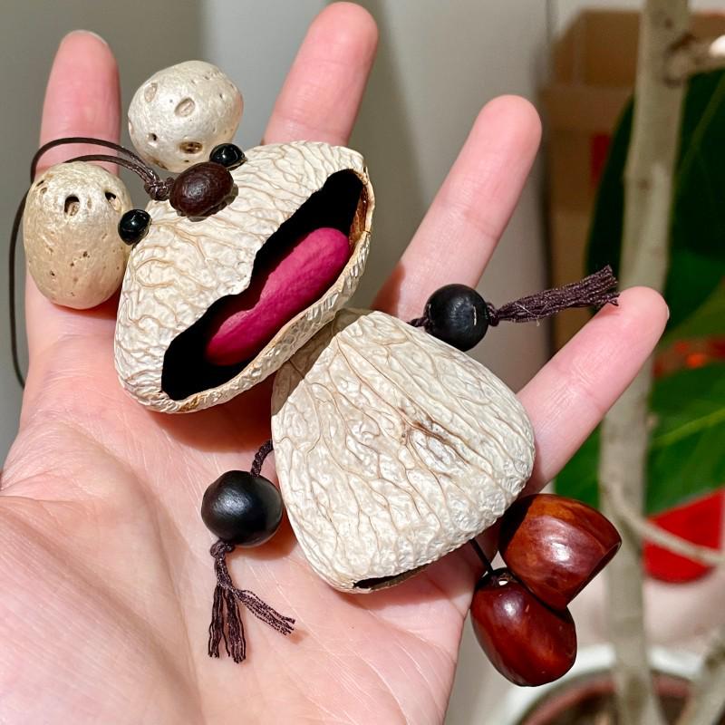 Little Bear Multi-Treasure Pendant: Handcrafted Nut Shell Car Charm & Universal Keychain Accessory