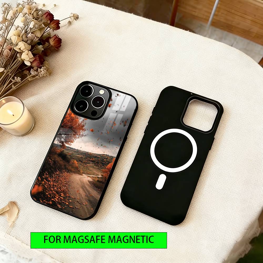 Атмосферный чехол для iPhone 17, 16, 15, 14, 13, 12, 11 Plus, Pro, Магнитный, Для Magsafe, Беспроводная зарядка