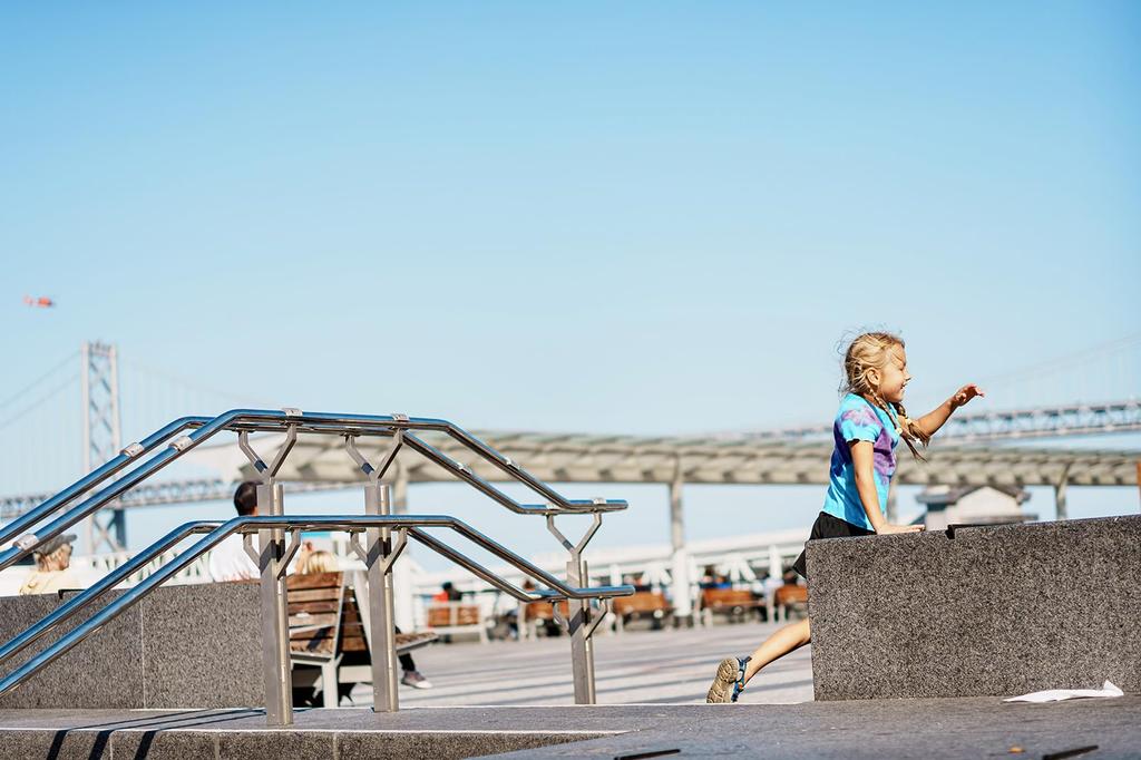 AF 55mm STM Standard Lens for Nikon Z Mount SG-image F1.8 (2-Year Warranty)