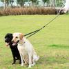 Dual Dog Leash, Double Dog Leash, 360 Swivel No Tangle Walking Leash, Shock Absorbing Bungee for Two Dogs