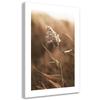 Canvas Print, Reed On a Macro Scale