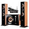 SANSUI 80C Домашняя развлекательная караоке-система (Китайская версия)