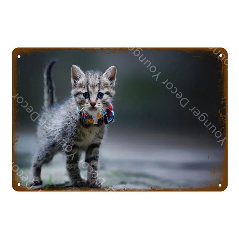Предупреждение: Остерегайтесь черной кошки, знаки домашних животных, металлический плакат с изображением животных, винтажная тарелка для настенного искусства, ретро, ​​декор для дома, комнаты, 30X20 см, YJ139