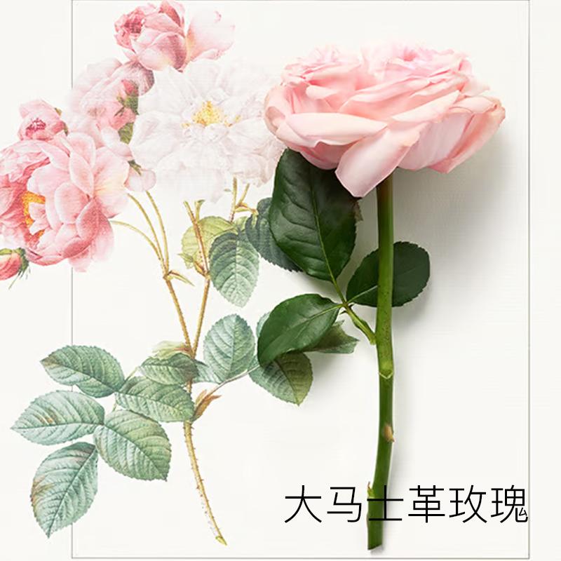ADIXIANZHIXIANG Новая версия A Dream In The Levant Ароматический Попурри Парфюмерная Вода EDP Черный Перец Пачули