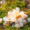 Shouhe Decorative Rain Flower Stones for Aquariums & Gardens