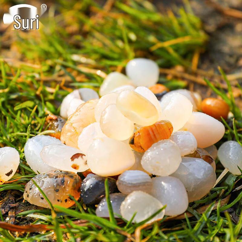 Shouhe Decorative Rain Flower Stones for Aquariums & Gardens