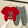 Комплекты детской одежды для мальчиков и девочек, летняя одежда для мам и детей, хлопковая футболка, брюки с короткими рукавами, костюм из 2 предметов, одежда для малышей