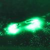 Fishing Supplies Mini LED Underwater Night Fishing Light Lure for Attracting Bait and Fish
