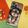 Чехол для телефона с йоркширским терьером Для iPhone 17 Pro Max 16 15 14 13 12 11 Pro Max Plus 12 13 Mini 16e 17 Air Cover