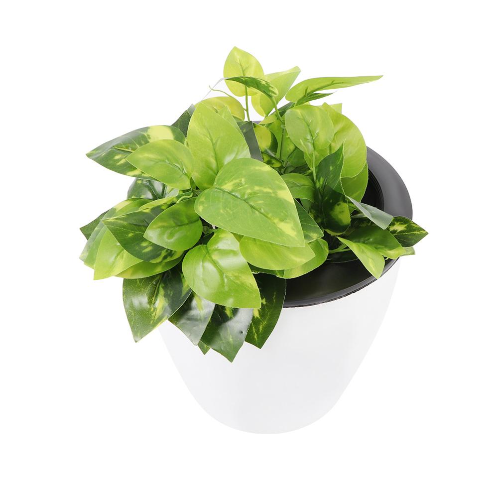 Self Watering Desktop Decoration Garden Supply Plants Basket Home Decor Planter Flower Pots