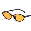 Black Shades Outdoor Sunglasses Oval Frame Travel Goggles British Style Driving Glasses