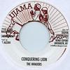 7-дюймовая пластинка INVADERS Conquering Lion DKR136 UjamaDigikille 2013 US Reggae Ska Dub Б/у