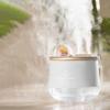400ML Cute Pet Dual Nozzle Wireless Air Humidifier Rechargeable Portable Handheld USB Essential Oil Aroma Diffuser with Light