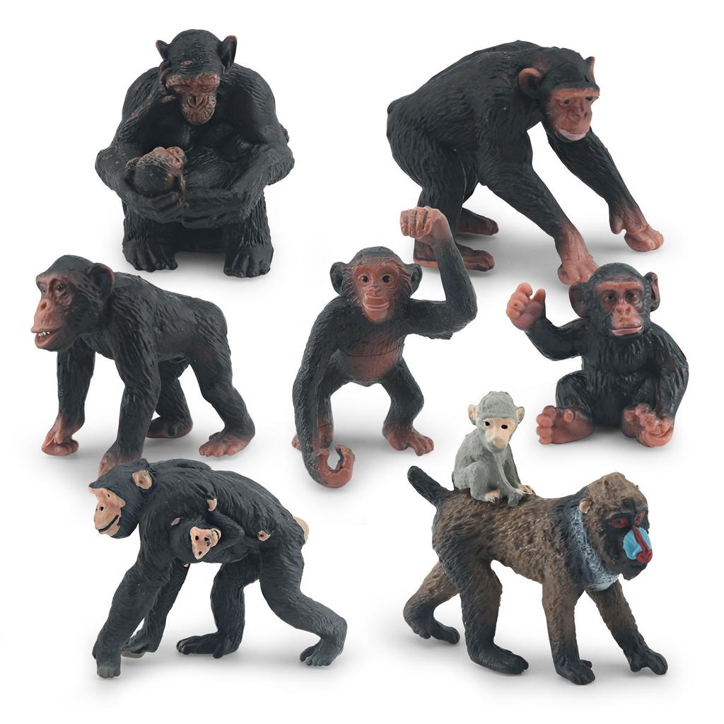 Source Simulation Animal Model Orangutan Mandrill 7 Chimpanzee Ghost Baboon Solid Static Ornament Toy