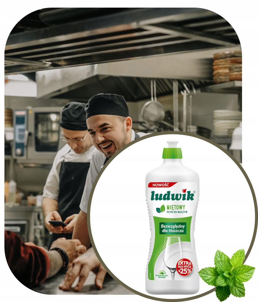 Ludwik Do Mycia Naczyń 500 Ml /450G Mięta