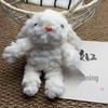 Lop-Eared Rabbit Plush Keychain Doll – Internet Celebrity Claw Machine Toy Gift