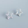 High-End S925 Silver Star Stud Earrings for Women – Elegant Niche Design