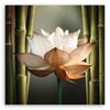 Canvas Print, Flower Zen Bamboo