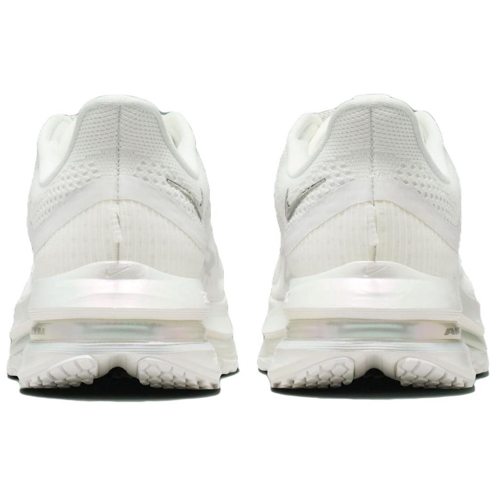Nike Женские кроссовки для бега Pegasus Premium IO9918-100