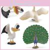 Pelican Peafowl Wildlife Animal Pvc Models For Kids Educational Decor And Toys