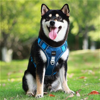 Сверхлегкая шлейка SLC Pet для маленьких, средних и крупных собак, синяя