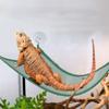Pet Accessories Elastic Hanging Reptile Habitat Bird Ladder Lizard Bed Bearded Dragon Hammock