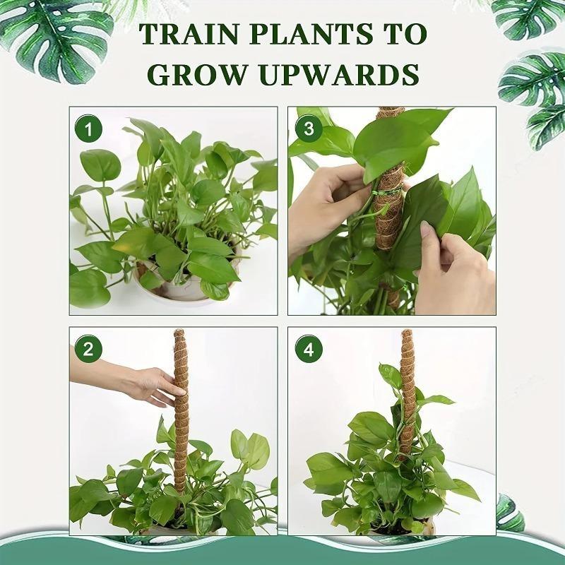 Рамка для лазанья по растениям Кокосовая скорлупа Мох Пальмовая трость Садоводство Кокосовый стержень Растягивающийся столб для скалолазания Комнатное растение Лиана