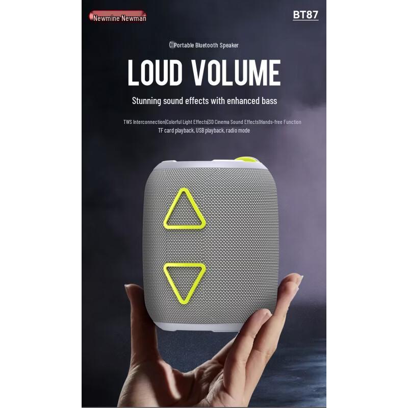 Портативная Bluetooth-колонка Newmine BT87, штекер CN (адаптер в комплекте)