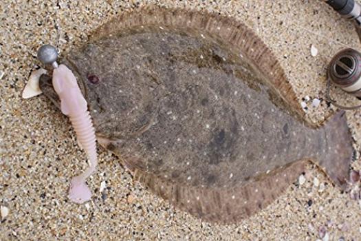 AbuGarcia Salty Style Flatfish SStyle Flatfish Fishing Rod Fishing Rod Flounder Surf Rod STFS-962MH