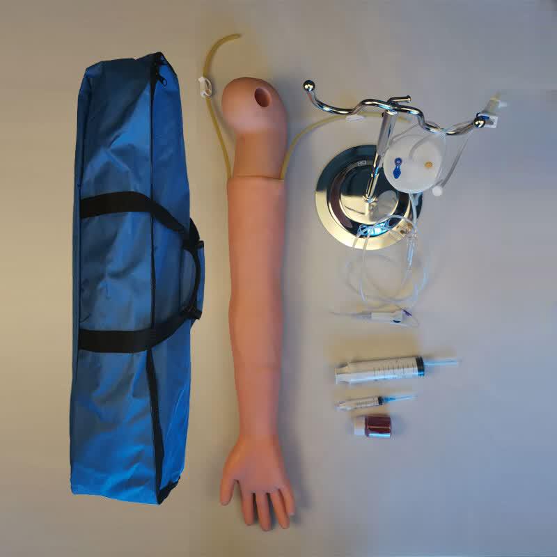 Venipuncture Training Arm Model