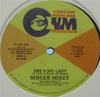 12-дюймовая пластинка SINGER MIKEY - She's My Lady CYM424 Conscious Youth US Reggae, Ska & Dub Б/у