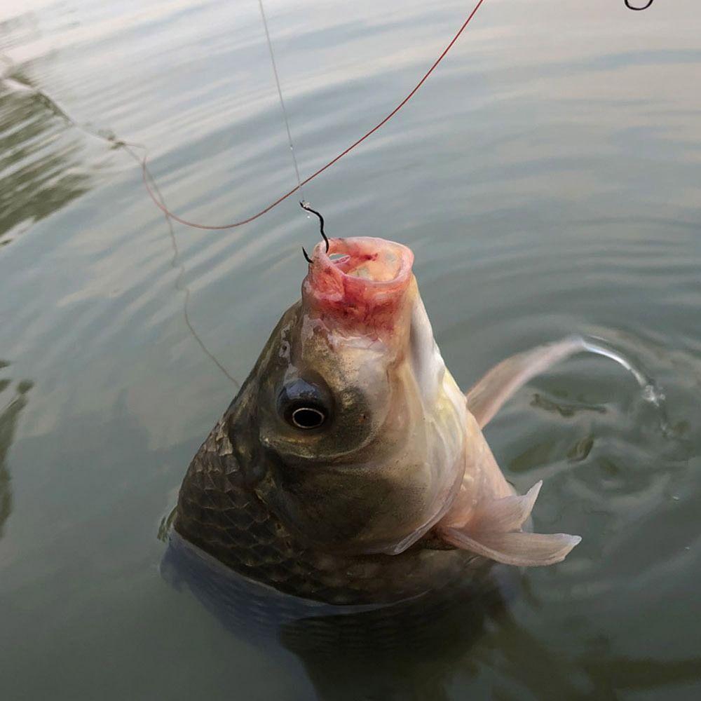 12Pcs/Pack High Carbon Steel Fishing Hook Sharp Barbed Automatic Flip Fishhook for Carp Fishing Tackles Accessories