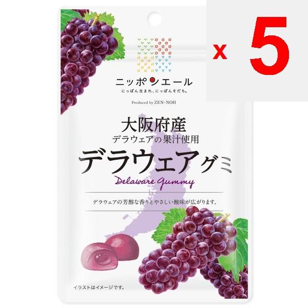 JA Nippon Ale Osaka Delaware Gummi 40 г Бренд Nippon Ale с крылатой фразой «рожденный в Японии», Nippon-sod Бренд Nippon Ale с крылатой фразой «рожденный в Японии»,