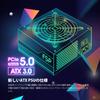 FSP 80PLUS GOLD certified Fully modular standard compatible 850W power supply SFX form factor PRO 850W / ATX3.0 PCIe5.0 / [DAGGER ATX3.0(PCIe5.0)]