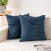 Solid Color Plush Double-Sided Pillowcase Corduroy Cushion Cover Decorative Sofa Bed Head Lumbar Support Pillowcase Set Of Two