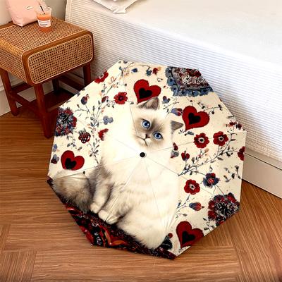 Аксессуары – Зонты