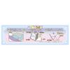 Takara Tomy Slala Movie The Magical Child of the Blue Moonlit Night Sumikkogurashi