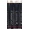 Professional Drawing Art Sketch Graphite Pencils,